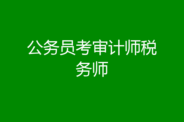 公务员考审计师税务师