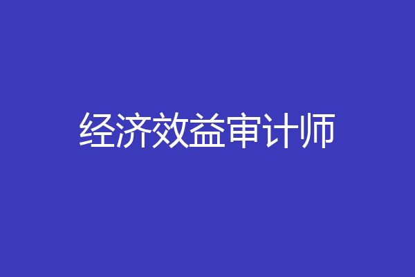 经济效益审计师