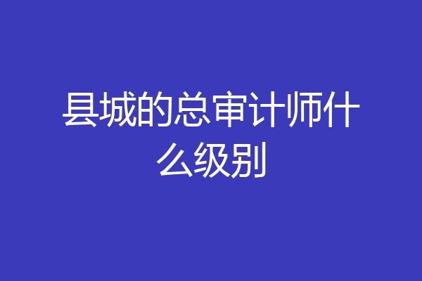 县城的总审计师什么级别
