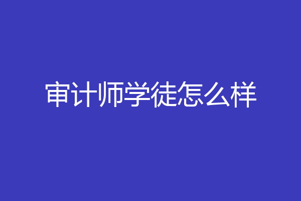 审计师学徒怎么样