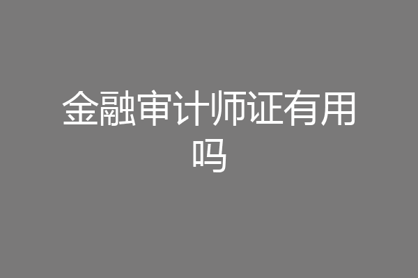 金融审计师证有用吗