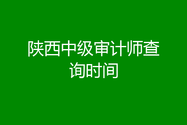 陕西中级审计师查询时间