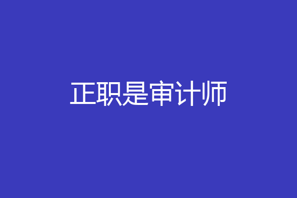 正职是审计师
