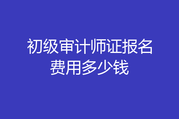 初级审计师证报名费用多少钱