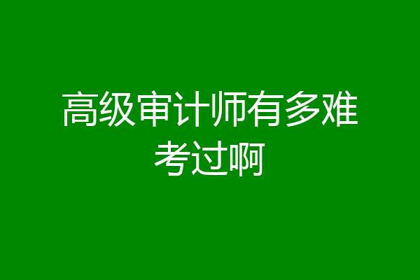 高级审计师有多难考过啊