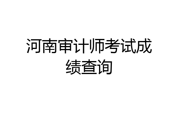 河南审计师考试成绩查询