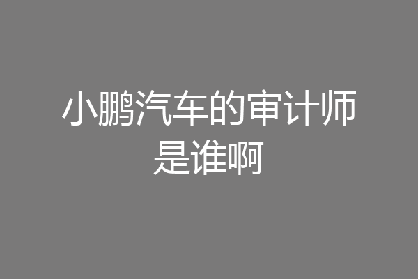 小鹏汽车的审计师是谁啊