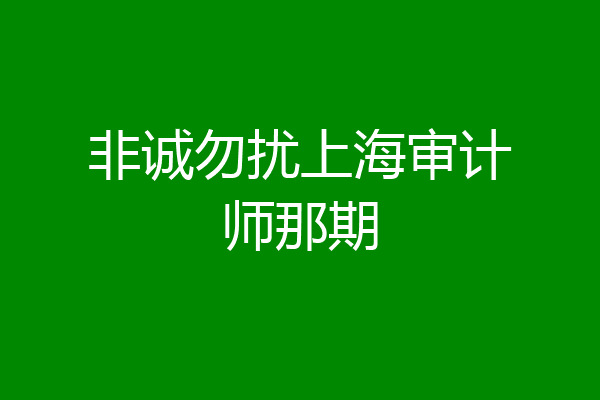 非诚勿扰上海审计师那期