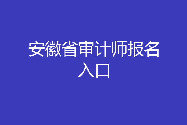 安徽省审计师报名入口