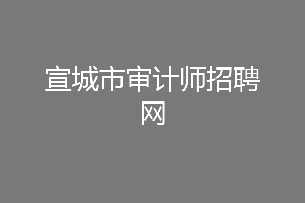 宣城市审计师招聘网