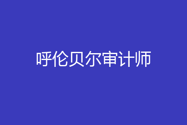 呼伦贝尔审计师