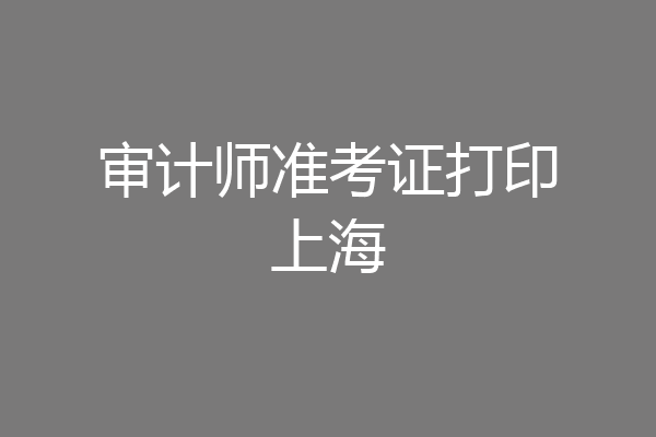 审计师准考证打印上海