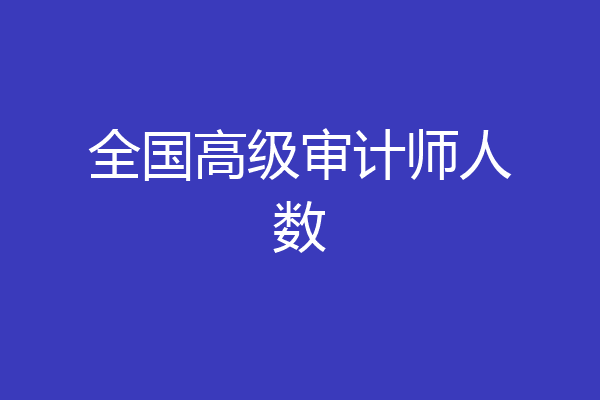 全国高级审计师人数