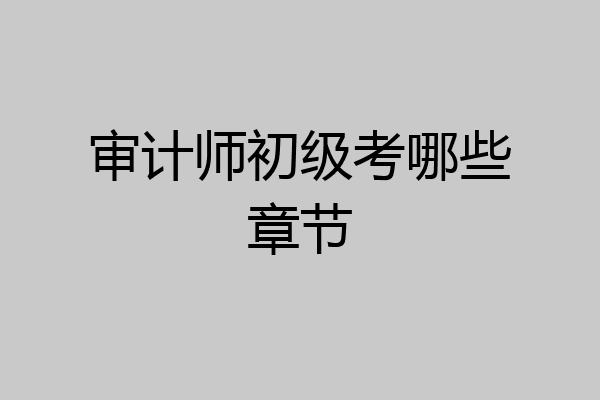 审计师初级考哪些章节