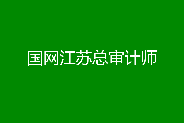 国网江苏总审计师