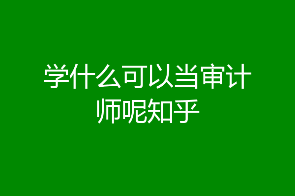 学什么可以当审计师呢知乎