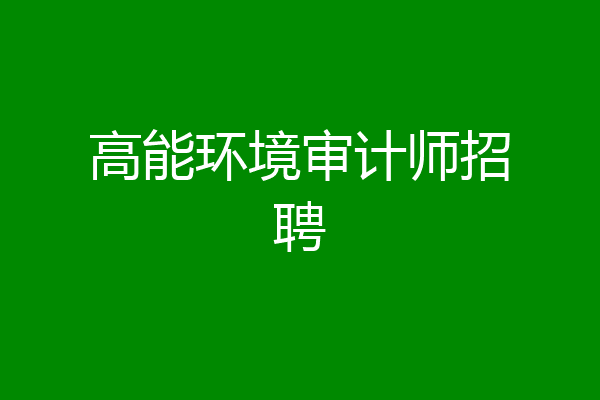 高能环境审计师招聘