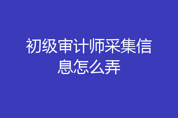 初级审计师采集信息怎么弄