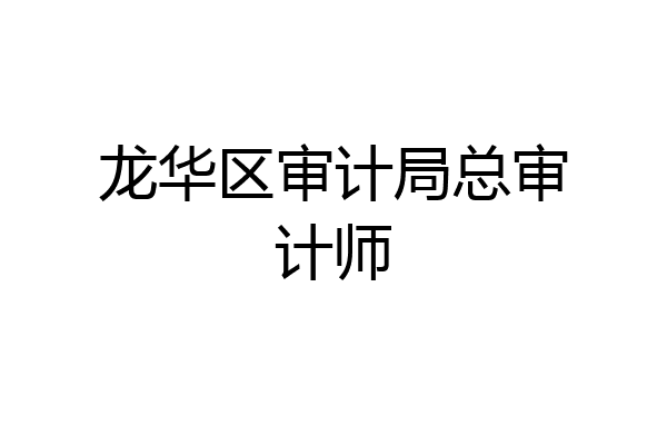 龙华区审计局总审计师