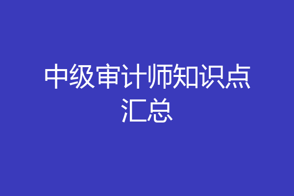 中级审计师知识点汇总