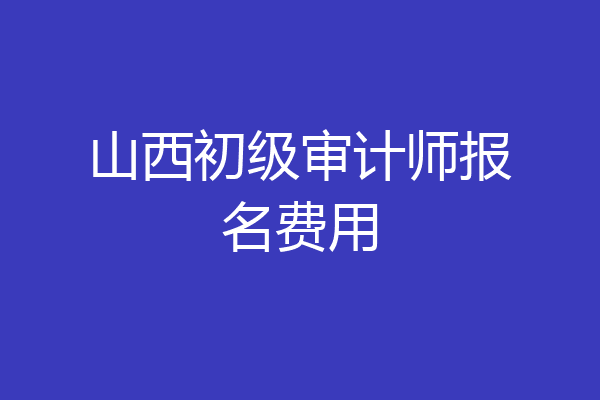 山西初级审计师报名费用