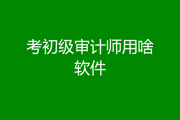 考初级审计师用啥软件