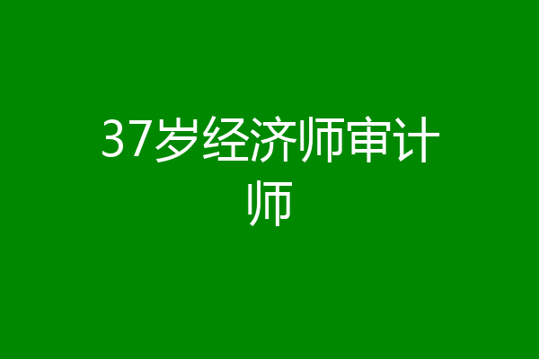 37岁经济师审计师