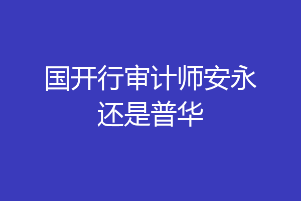 国开行审计师安永还是普华
