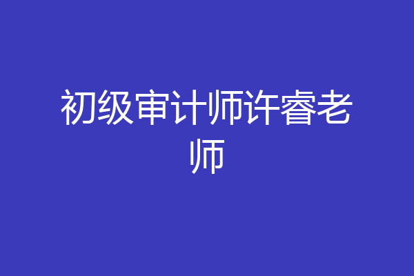 初级审计师许睿老师