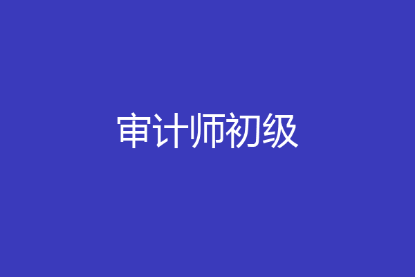 审计师初级