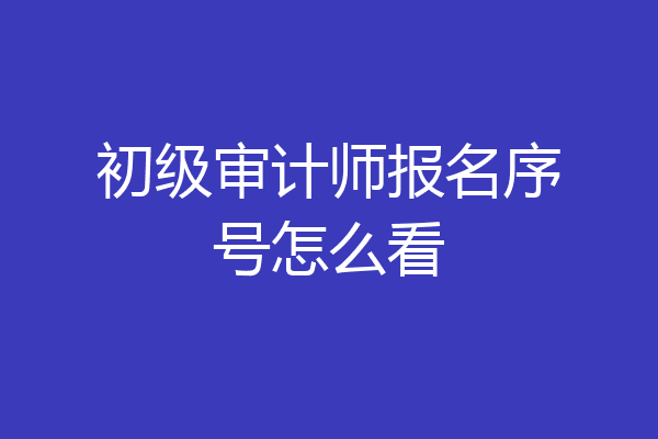 初级审计师报名序号怎么看