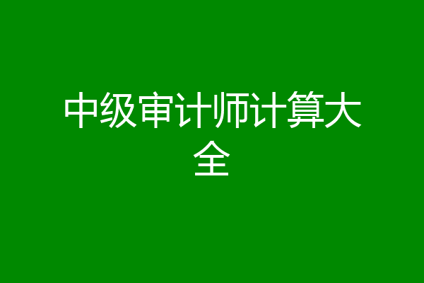 中级审计师计算大全