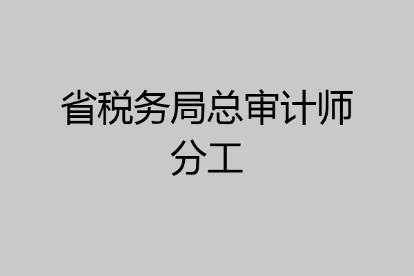 省税务局总审计师分工