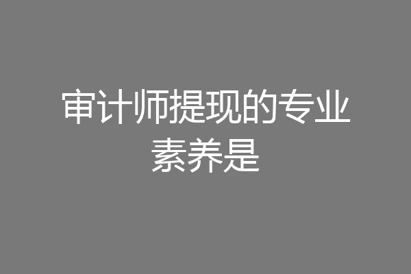审计师提现的专业素养是