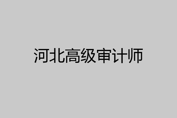河北高级审计师