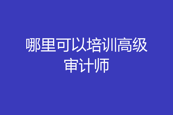 哪里可以培训高级审计师