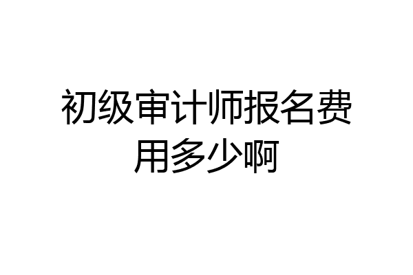 初级审计师报名费用多少啊