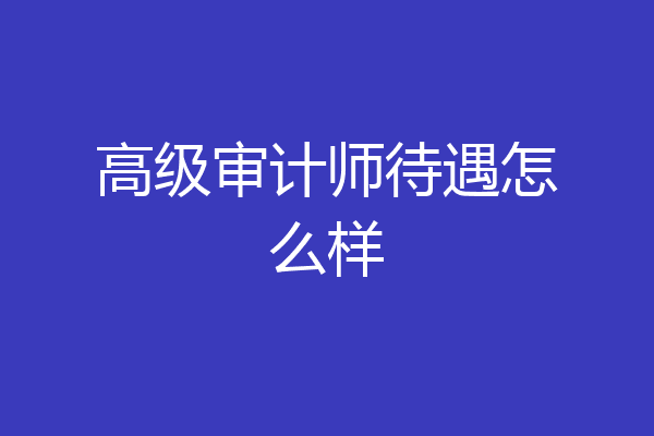 高级审计师待遇怎么样