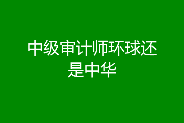 中级审计师环球还是中华