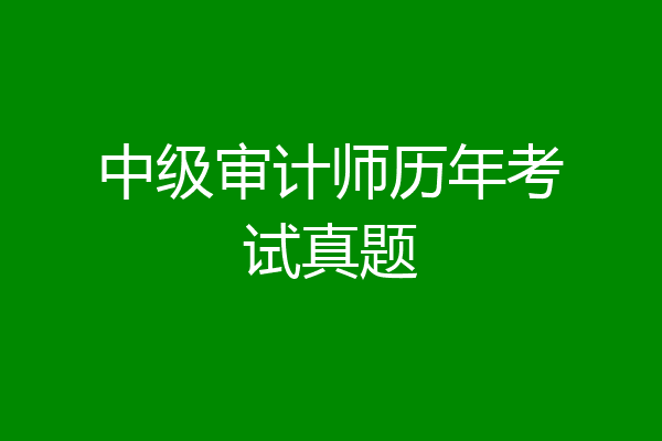 中级审计师历年考试真题