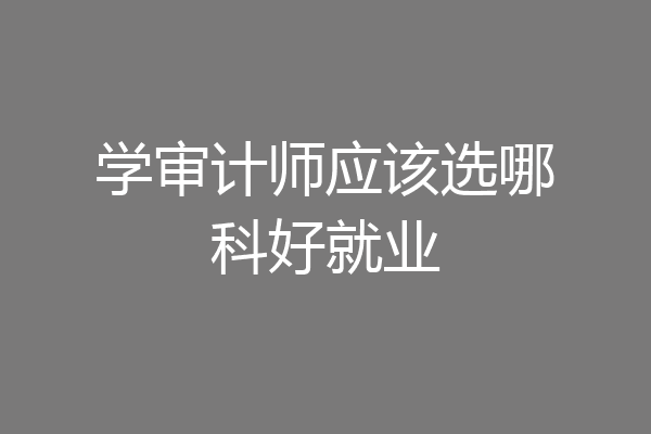 学审计师应该选哪科好就业