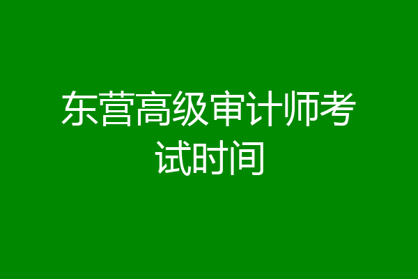 东营高级审计师考试时间