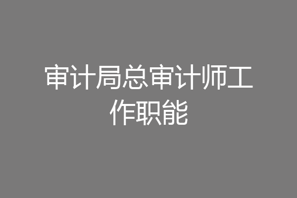 审计局总审计师工作职能