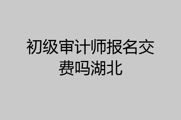 初级审计师报名交费吗湖北