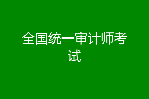 全国统一审计师考试