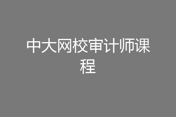 中大网校审计师课程