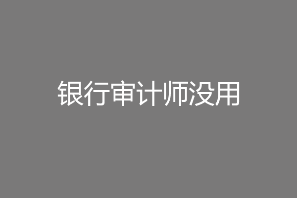 银行审计师没用