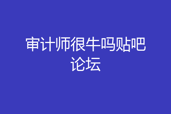 审计师很牛吗贴吧论坛