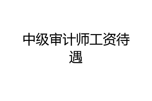 中级审计师工资待遇