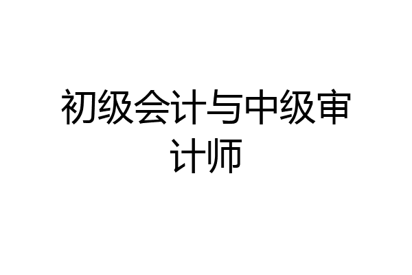 初级会计与中级审计师